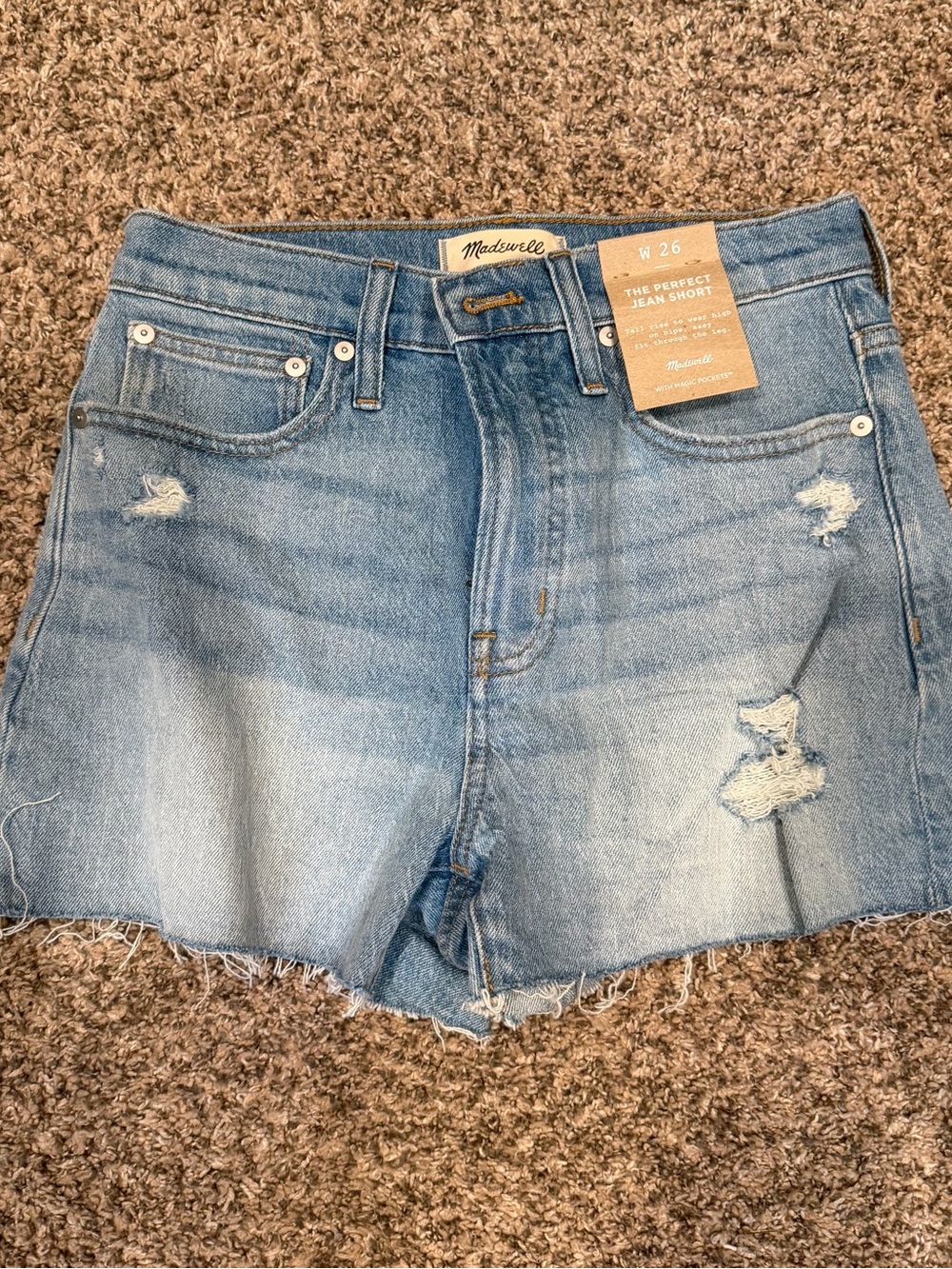 Madewell The Perfect Vintage Short Light Wash Distressed Jean Shorts